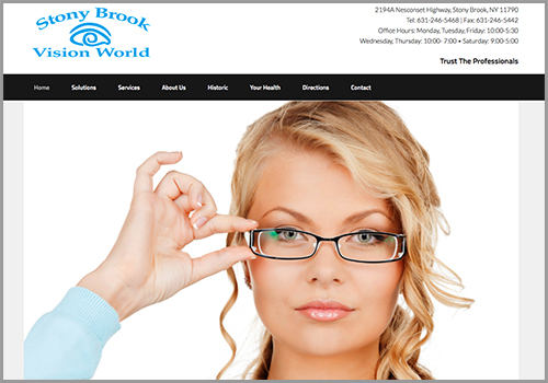 Stony Brook Vision World Web Site